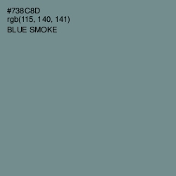#738C8D - Blue Smoke Color Image